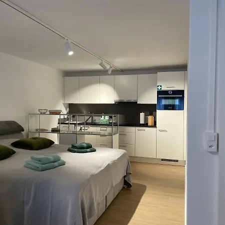 Apartment Gocki