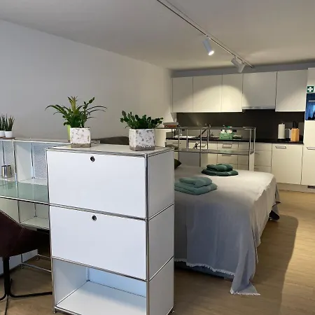 Apartment Gocki *