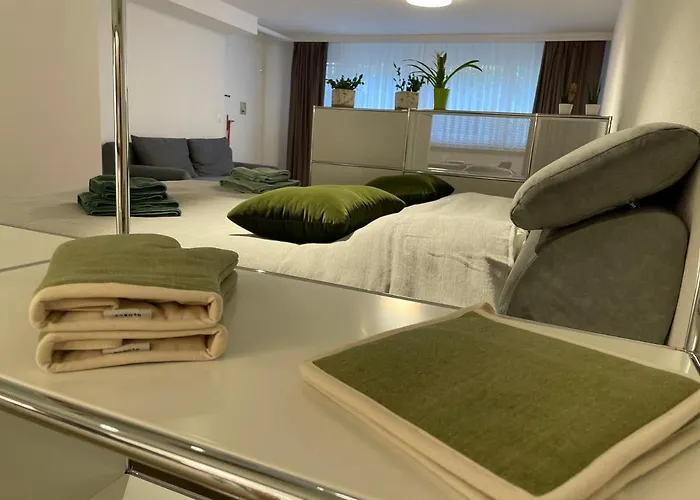 Gocki Appartement Zürich